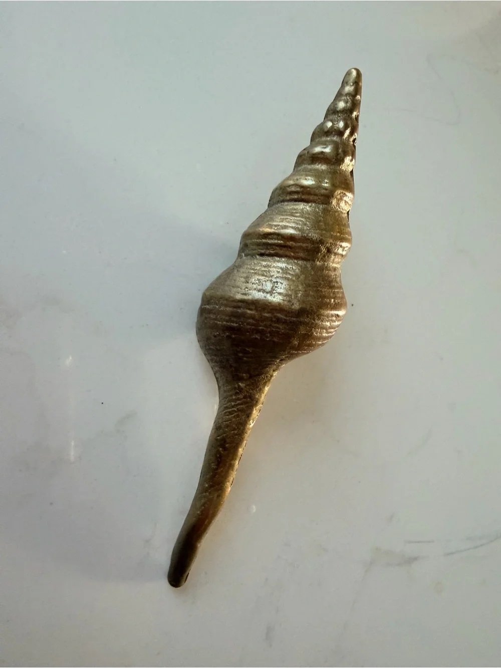 Brass Cottage Core Decorative Shell Home Accent